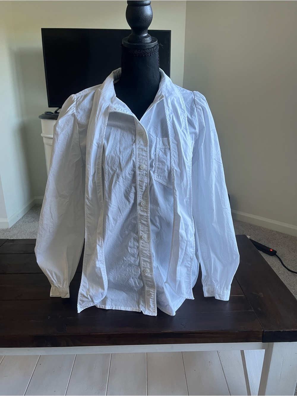 J. Crew White Button-Down Shirt with Neck Ties